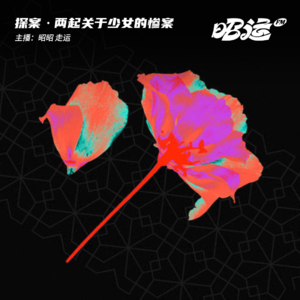 两起关于少女的惨案