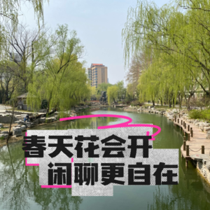 #43 春天花会开，闲聊更自在