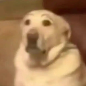 真诚就是永远的必杀计,三小时一口气读完的《我在北京送快递》