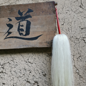 千年老太岁话题|甲辰|本命年|太岁?