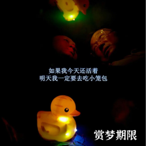 VOL.14：人到中年的浪漫就是破车后有一箱书稿