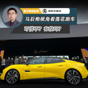 马后炮视角看莲花跑车 可惜不?有救吗?