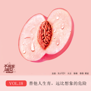 vol.18代孕，远比你想象的危险-不完全淑女