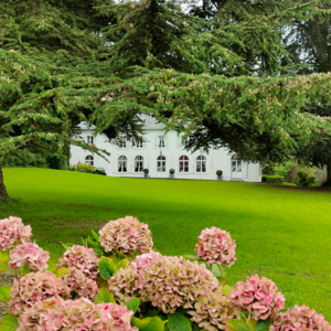 Vol.05 法国，我们对你爱爱爱不完！才怪！