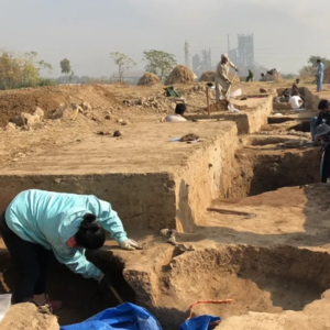 考古系列 | 考古专家王建新:草原考古——寻找月氏人