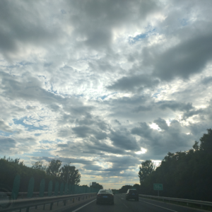 对死亡的恐惧，决定了人的悖论本质和存在困境