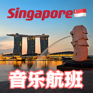 想不到这么多歌手都来自新加坡