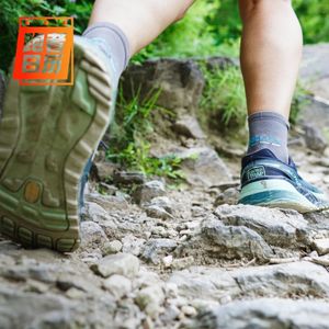 EP164: 要做一名灵活的"胖纸"