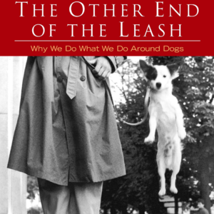 83. 读书48 - 别跟狗争老大 (上)