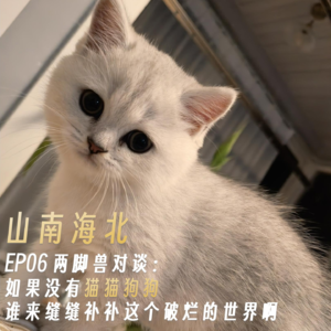 EP06 两脚兽对谈:如果没有猫猫狗狗,谁来缝缝补补这个破烂的世界啊