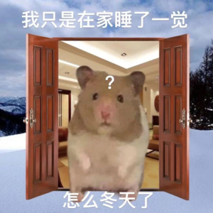 Vol.31 过冬大盘点，暖你一整天