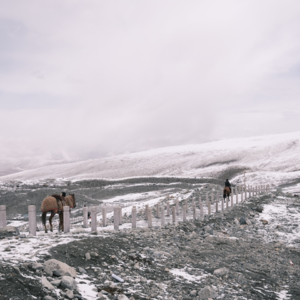 过刊055：封神前夜，少年还乡