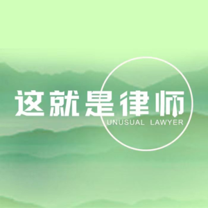 #13 英专生转型商事律师，拥有近10年非法律工作经验的大所合伙人