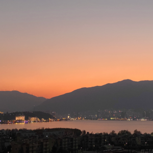 歌不鸽 | 情人节歌单：好的爱情从来都不晚