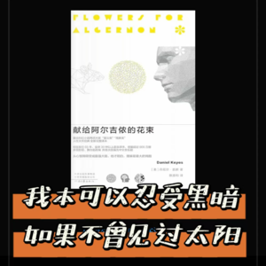 Vol.19 【读书系列】读完《献给阿尔吉侬的花束》，我也想献一束花给你，查理。