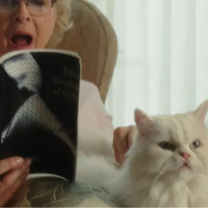 闲心漫理EP04.岛田拾遗·周年问答·读书会