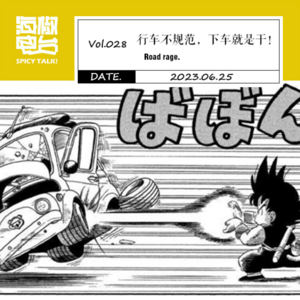 Vol.028 行车不规范,下车就是干!