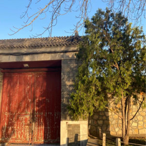 10 | 00后的核桃生意怎么用新媒体盘活那些大爷？