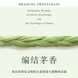 老金读书-编结茅香