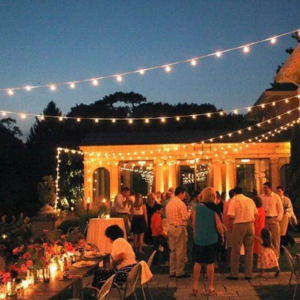 初夏的夜晚我们来了一次精神桑拿 