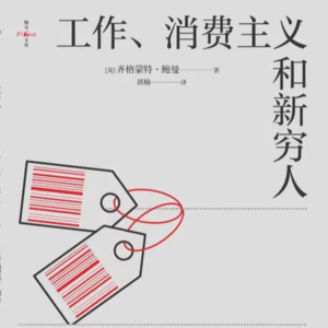 02《工作、消费主义和新穷人》我们的生活方式如何制造出新穷人？