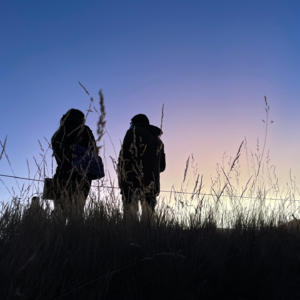 144 * 耳朵放松半小时 3w4