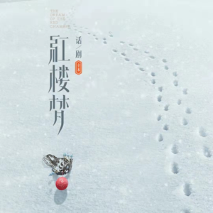 001-我要做话剧《红楼梦》时，所有人都说只有一个结果：被骂！