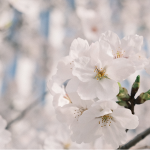 #24 近况分享|调剂小补充-邮件发送注意事项|一起加油呀