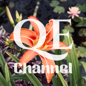 #EP 25 QE Channel Just take it slow