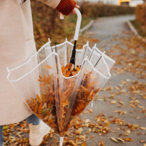 VOL.39 夏末初秋的晚风 浪漫又温柔 初秋歌单