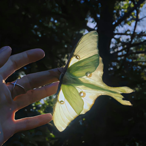 听kpop迎接冲撞式快乐因子