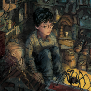 HP-PS 1-1 The boy who lived
