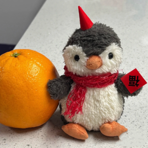 谈天| 聊聊我们对于春节的复杂情感