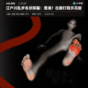 041. 江户川乱步名侦探篇：是谁？在敲打我天花板