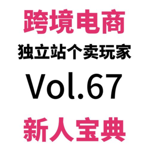 Vol67.这五种新人，请立即加入跨境电商独立站搞钱！内附真实新人个卖的投入成本和生活状态（下）