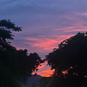 Episode 59: 没有高光也要感谢陪伴｜年终总结