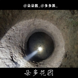 13.旧电视中的求救纸条—武汉地窖囚禁案