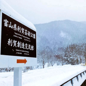 MT.75 从利贺归来，谈铃木方法