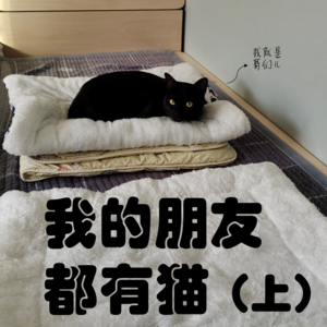 01.我的朋友都有猫（上）