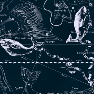 玄学夜话062｜♓双鱼座真实鬼故事集：为啥遇到阿飘的频率那么高？