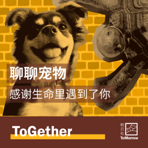 ToGether｜聊聊宠物，感谢生命里遇到了你