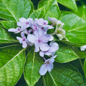 #EP 15 QE Channel 焦虑的反射弧