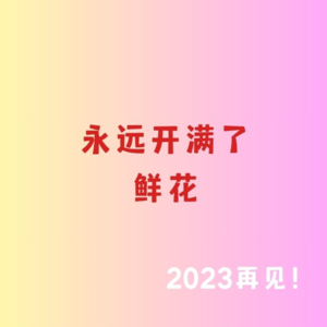 【贰叁壹陆】年度总结：2024迎接新挑战