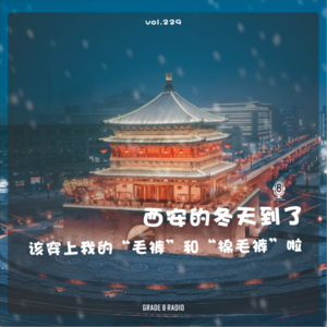 【vol.229】今年冬天这么冷该穿上我的“毛裤”和“棉毛裤”啦