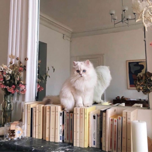 98 你会为朋友牵线吗