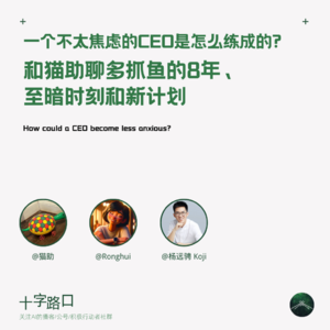 一个不太焦虑的 CEO 是怎么练成的｜和猫助聊多抓鱼的八年，至暗时刻和新计划