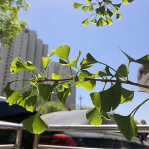 闲聊关于近期事故和自由攀登