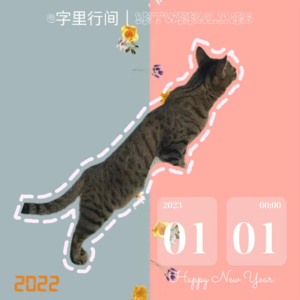 53 四十问告别我们2022这一年