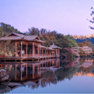 115 杭州园林 西湖十景2