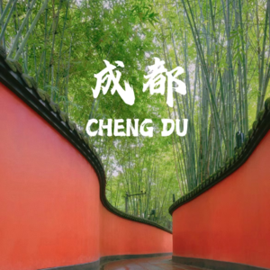 Vol.16 成都，是逃离北上广后的乌托邦吗？